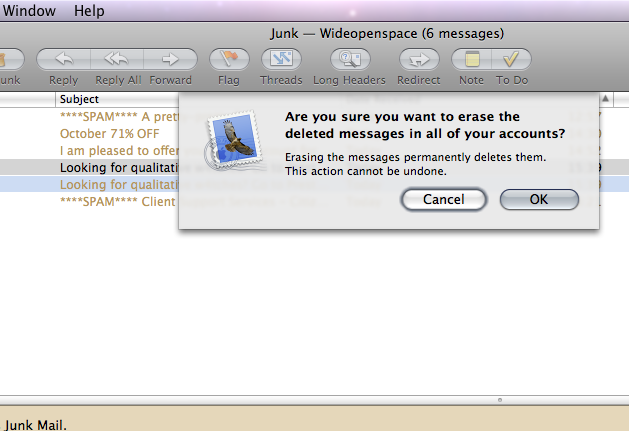 Picture of Leopard erase deleted messages dialogue box