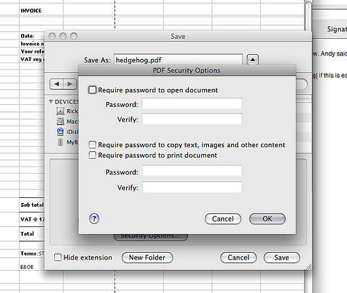 PDF security options